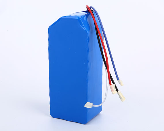 High capacity lithium ion electric bike battery 48V 20AH for 500W Motor with BMS