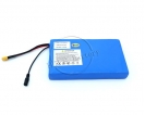 Custom Battery Pack - Battery Protection Circuit Module 12s2p 44.4V 6ah li-ion battery pack 6000mah